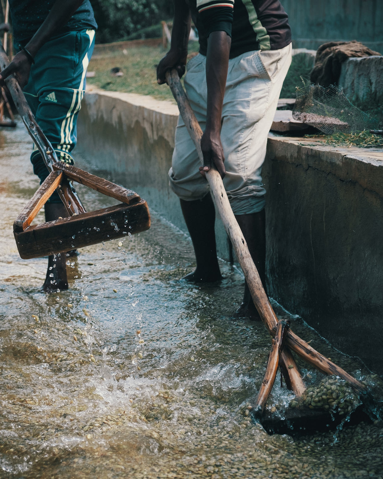 Ethiopia Coffee Processing