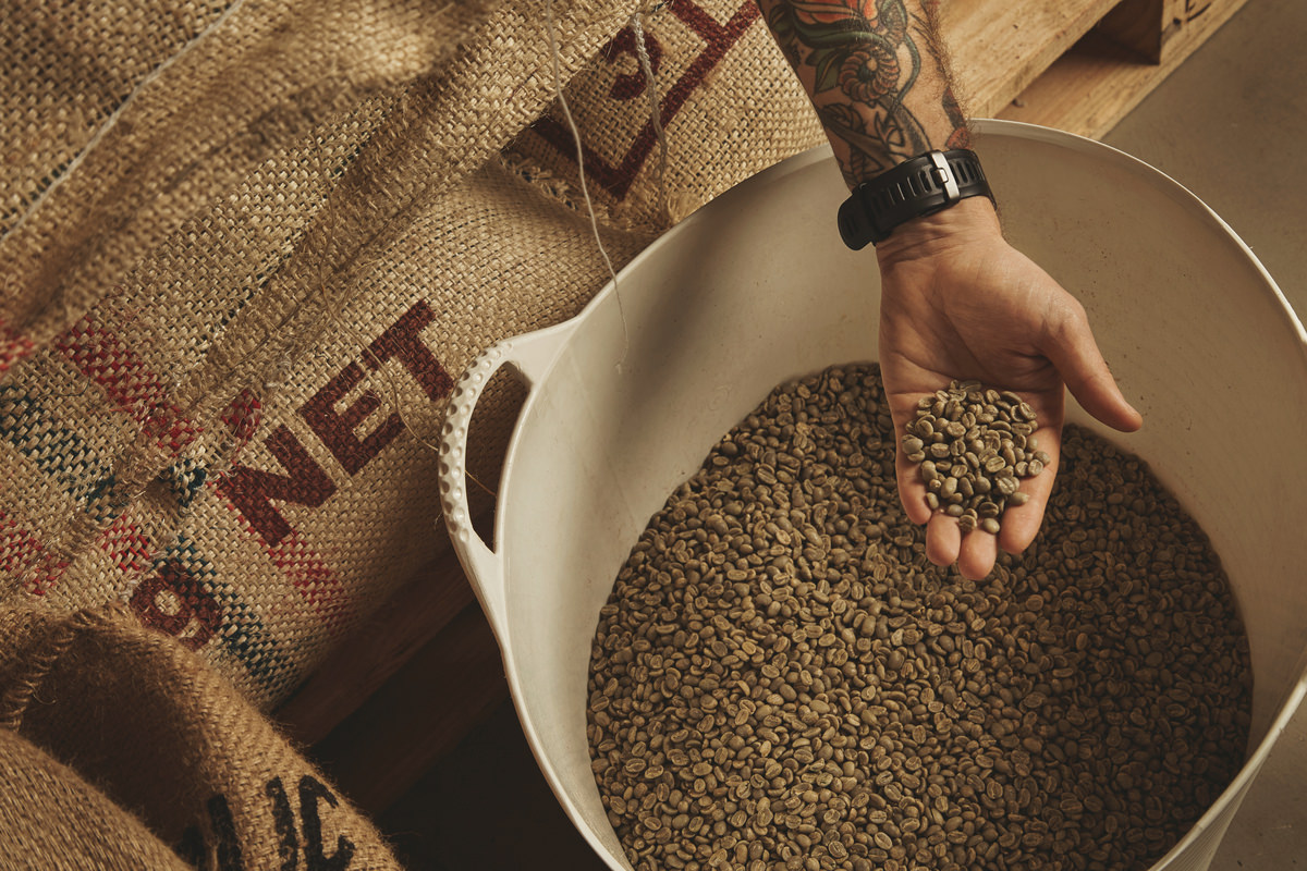 tattooed barista hand holds raw green coffee beans from white plastic basket cotton bags europalet warehouse